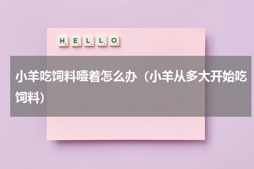 小羊吃饲料噎着怎么办（小羊从多大开始吃饲料）