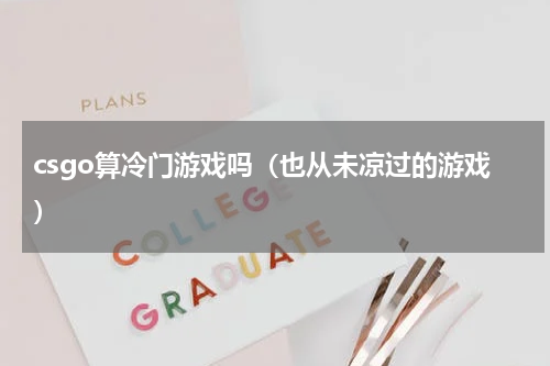 csgo算冷门游戏吗（也从未凉过的游戏）