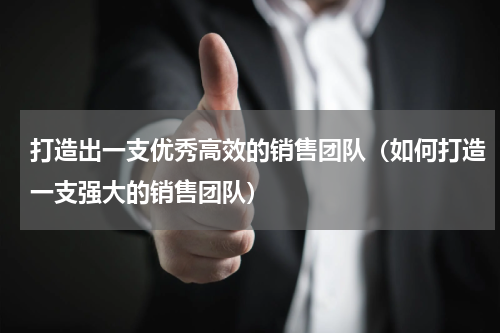 打造出一支优秀高效的销售团队（如何打造一支强大的销售团队）