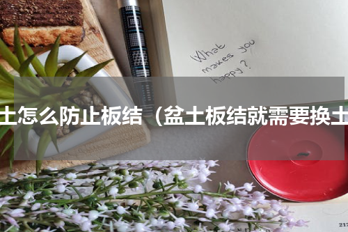 盆土怎么防止板结（盆土板结就需要换土）