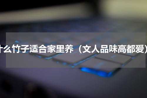 什么竹子适合家里养（文人品味高都爱）