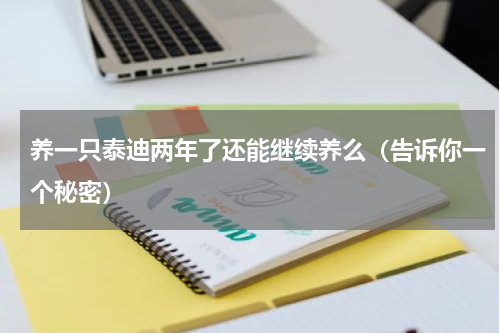 养一只泰迪两年了还能继续养么（告诉你一个秘密）