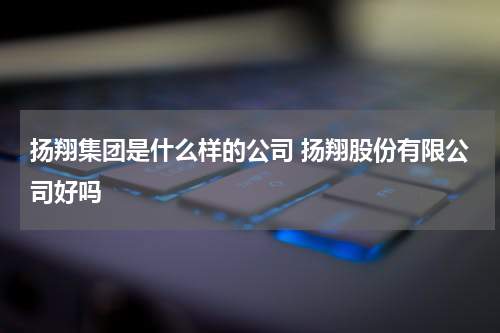扬翔集团是什么样的公司 扬翔股份有限公司好吗