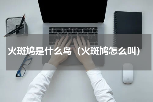 火斑鸠是什么鸟（火斑鸠怎么叫）