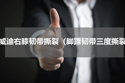丁威迪右膝韧带撕裂（脚踝韧带三度撕裂）
