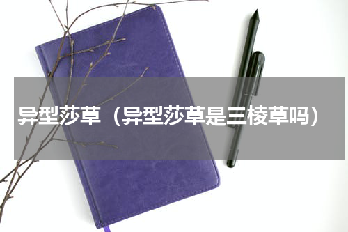异型莎草（异型莎草是三棱草吗）