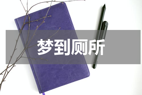 梦到厕所