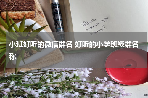 小班好听的微信群名 好听的小学班级群名称