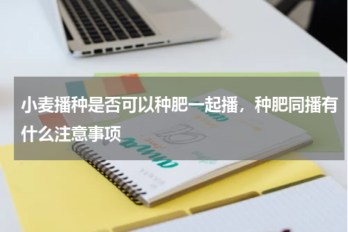 小麦播种是否可以种肥一起播，种肥同播有什么注意事项
