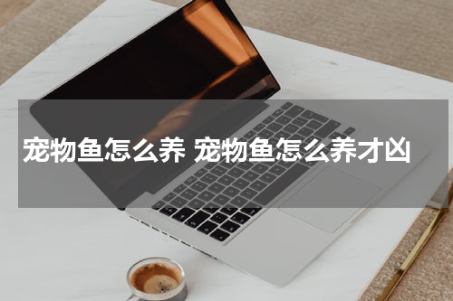 宠物鱼怎么养 宠物鱼怎么养才凶