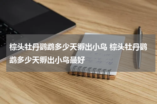 棕头牡丹鹦鹉多少天孵出小鸟 棕头牡丹鹦鹉多少天孵出小鸟最好