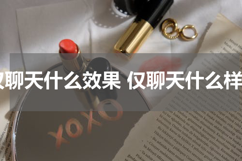 仅聊天什么效果 仅聊天什么样