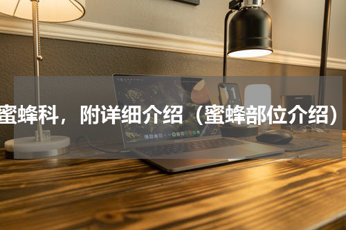 蜜蜂科，附详细介绍（蜜蜂部位介绍）