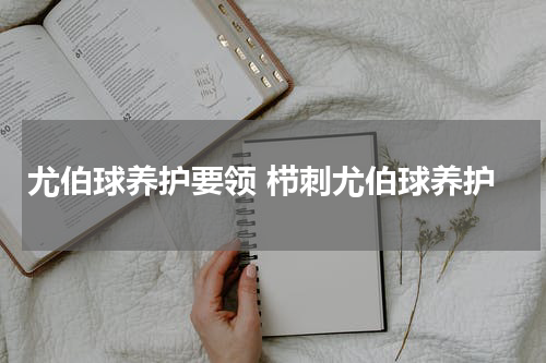 尤伯球养护要领 栉刺尤伯球养护