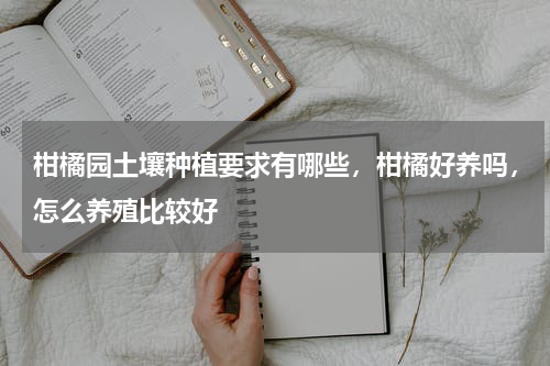 柑橘园土壤种植要求有哪些，柑橘好养吗，怎么养殖比较好