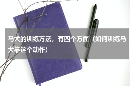 马犬的训练方法，有四个方面（如何训练马犬靠这个动作）