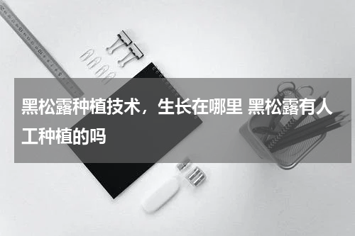 黑松露种植技术，生长在哪里 黑松露有人工种植的吗