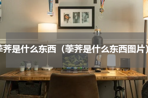 荸荠是什么东西（荸荠是什么东西图片）