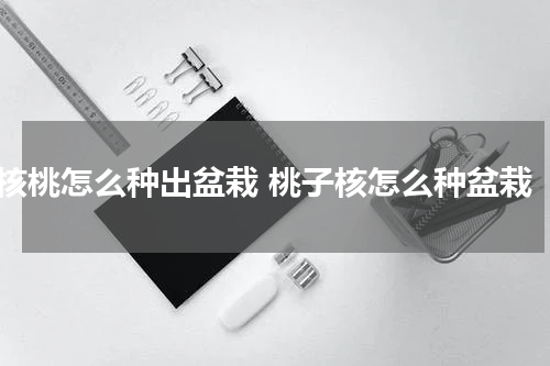 核桃怎么种出盆栽 桃子核怎么种盆栽