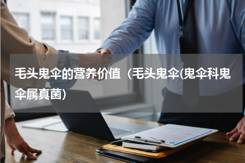 毛头鬼伞的营养价值（毛头鬼伞(鬼伞科鬼伞属真菌）