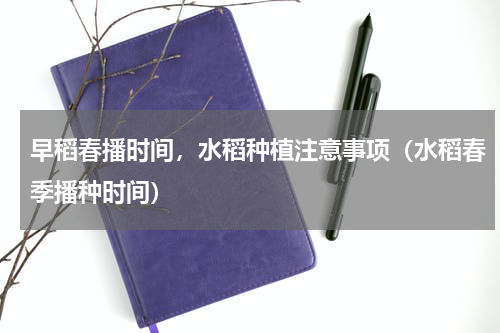 早稻春播时间，水稻种植注意事项（水稻春季播种时间）