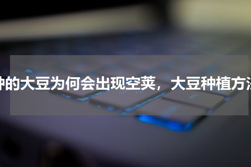 种的大豆为何会出现空荚，大豆种植方法