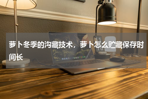 萝卜冬季的沟藏技术，萝卜怎么贮藏保存时间长