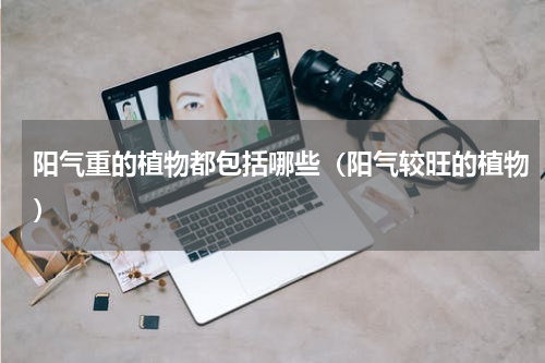 阳气重的植物都包括哪些（阳气较旺的植物）