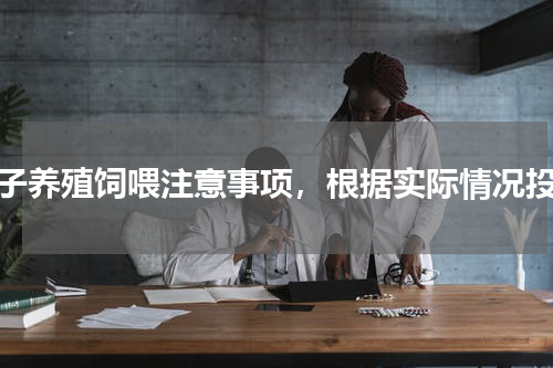 兔子养殖饲喂注意事项，根据实际情况投料