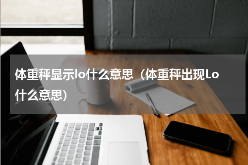 体重秤显示lo什么意思（体重秤出现Lo什么意思）