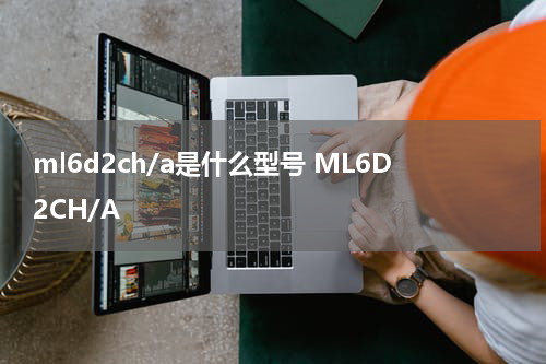 ml6d2ch/a是什么型号 ML6D2CH/A
