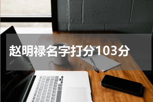 赵明禄名字打分103分