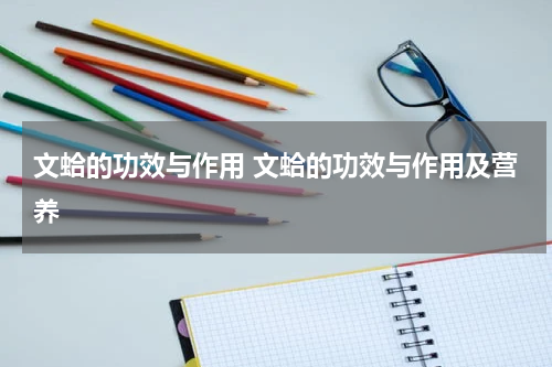文蛤的功效与作用 文蛤的功效与作用及营养