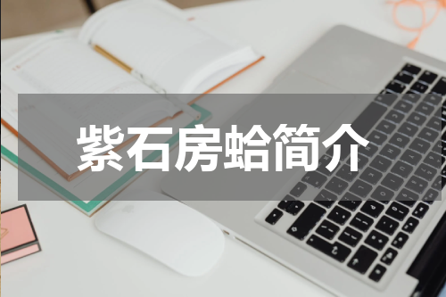紫石房蛤简介