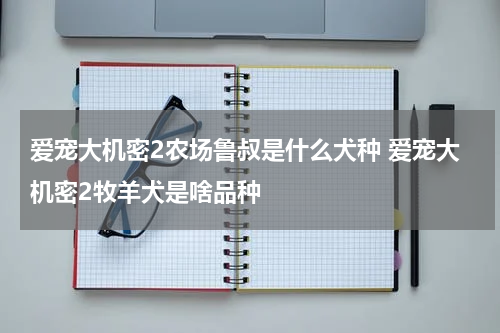 爱宠大机密2农场鲁叔是什么犬种 爱宠大机密2牧羊犬是啥品种
