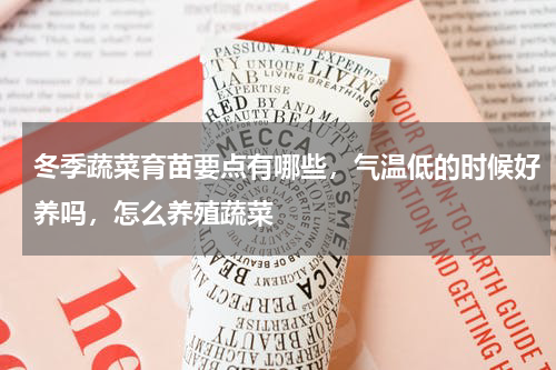 冬季蔬菜育苗要点有哪些，气温低的时候好养吗，怎么养殖蔬菜