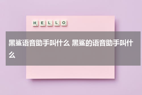 黑鲨语音助手叫什么 黑鲨的语音助手叫什么