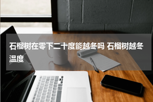 石榴树在零下二十度能越冬吗 石榴树越冬温度