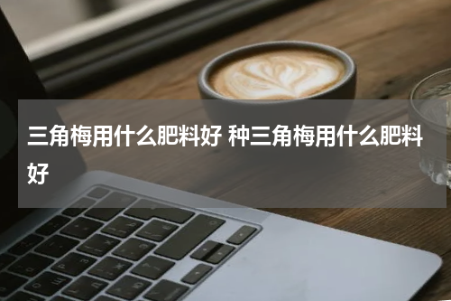 三角梅用什么肥料好 种三角梅用什么肥料好