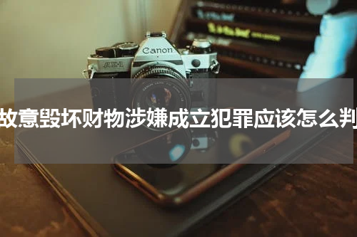故意毁坏财物涉嫌成立犯罪应该怎么判