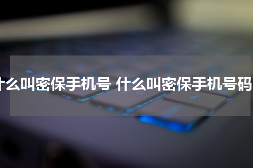 什么叫密保手机号 什么叫密保手机号码