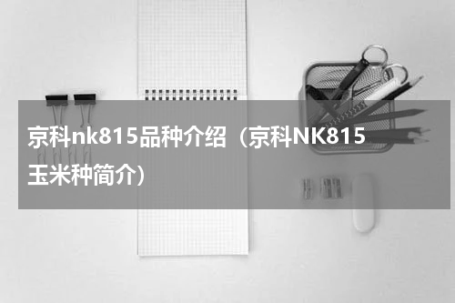 京科nk815品种介绍（京科NK815玉米种简介）