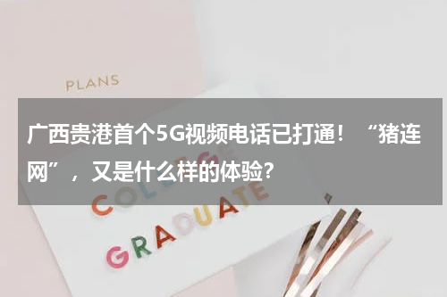 广西贵港首个5G视频电话已打通！“猪连网”，又是什么样的体验？