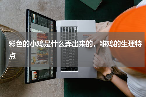 彩色的小鸡是什么弄出来的，雏鸡的生理特点