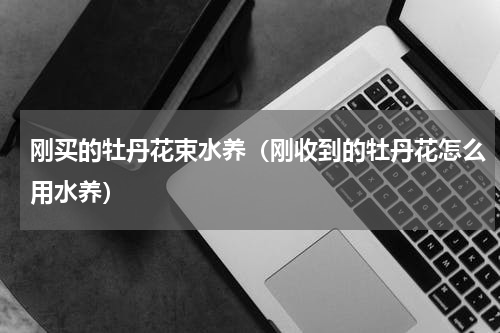 刚买的牡丹花束水养（刚收到的牡丹花怎么用水养）