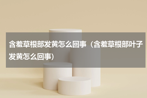 含羞草根部发黄怎么回事（含羞草根部叶子发黄怎么回事）