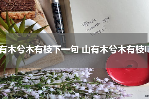 山有木兮木有枝下一句 山有木兮木有枝 
