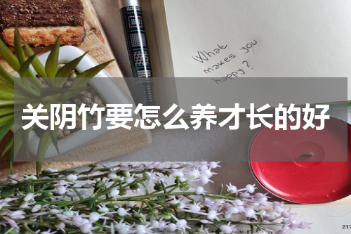 关阴竹要怎么养才长的好