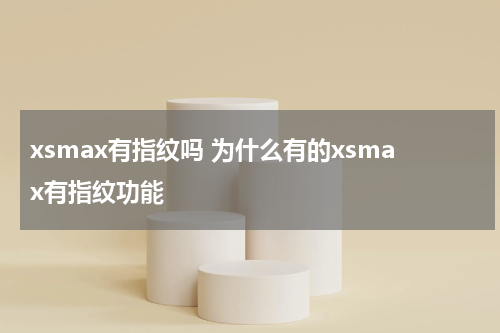 xsmax有指纹吗 为什么有的xsmax有指纹功能