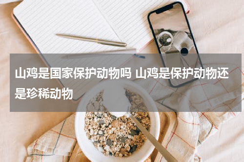 山鸡是国家保护动物吗 山鸡是保护动物还是珍稀动物